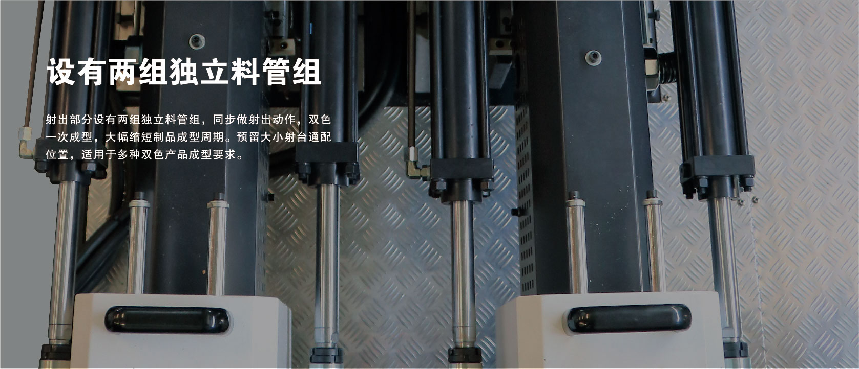 &#20122;&#32654;&#40;&#20013;&#22269;&#41;&#20307;&#32946;&#23448;&#26041;&#32593;&#31449;