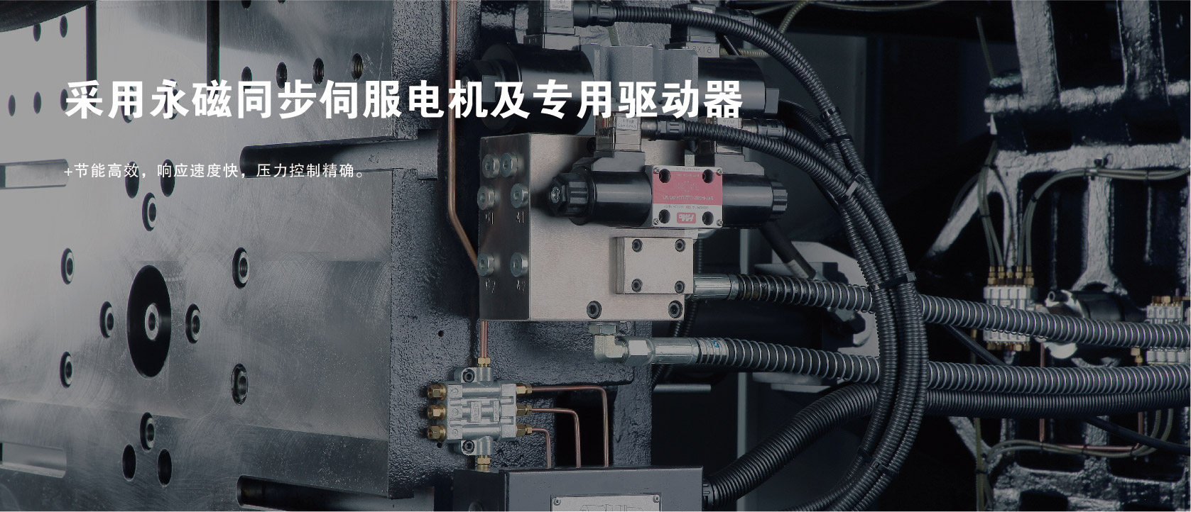 &#20122;&#32654;&#40;&#20013;&#22269;&#41;&#20307;&#32946;&#23448;&#26041;&#32593;&#31449;