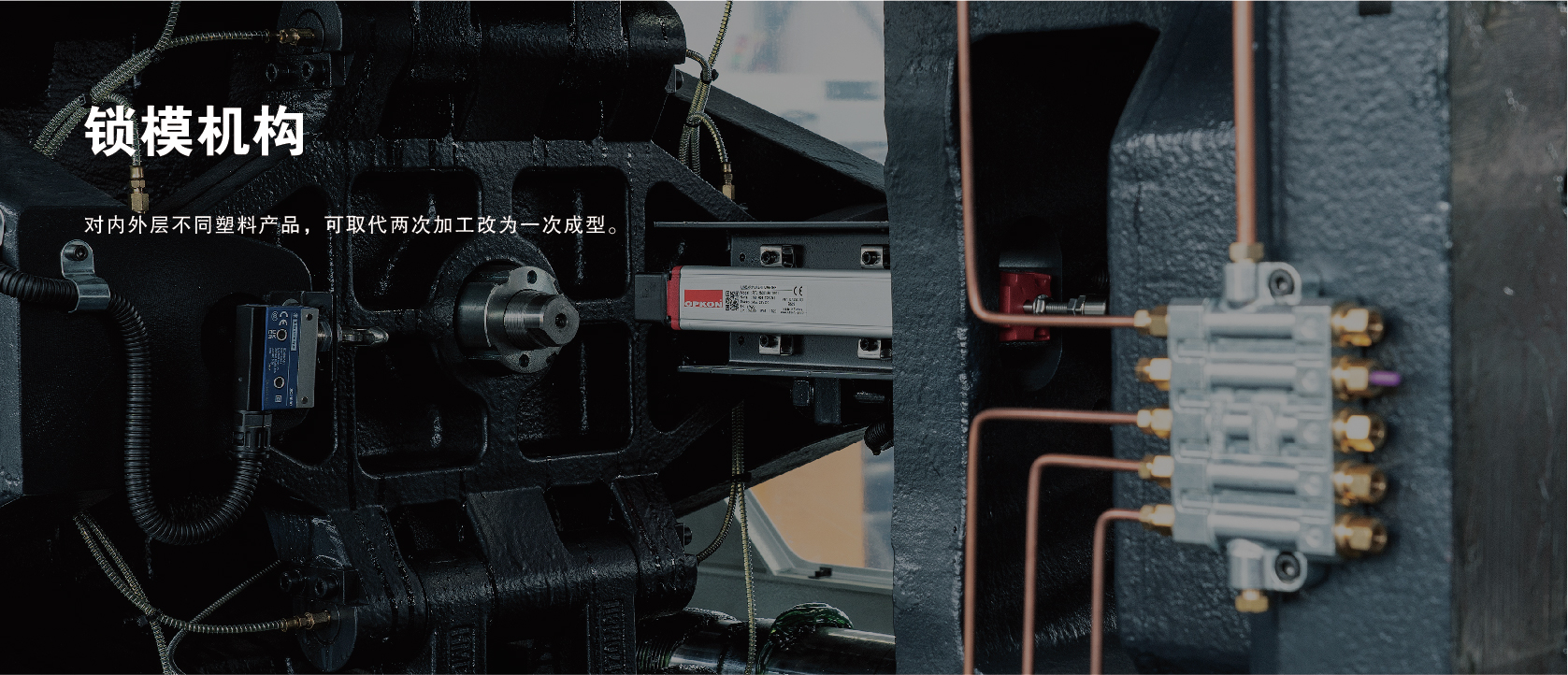 &#20122;&#32654;&#40;&#20013;&#22269;&#41;&#20307;&#32946;&#23448;&#26041;&#32593;&#31449;
